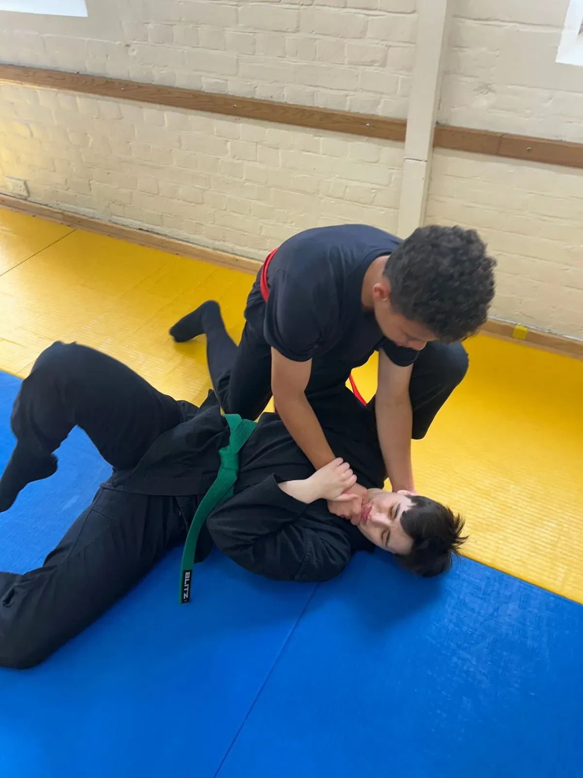 Descriptive text for the image