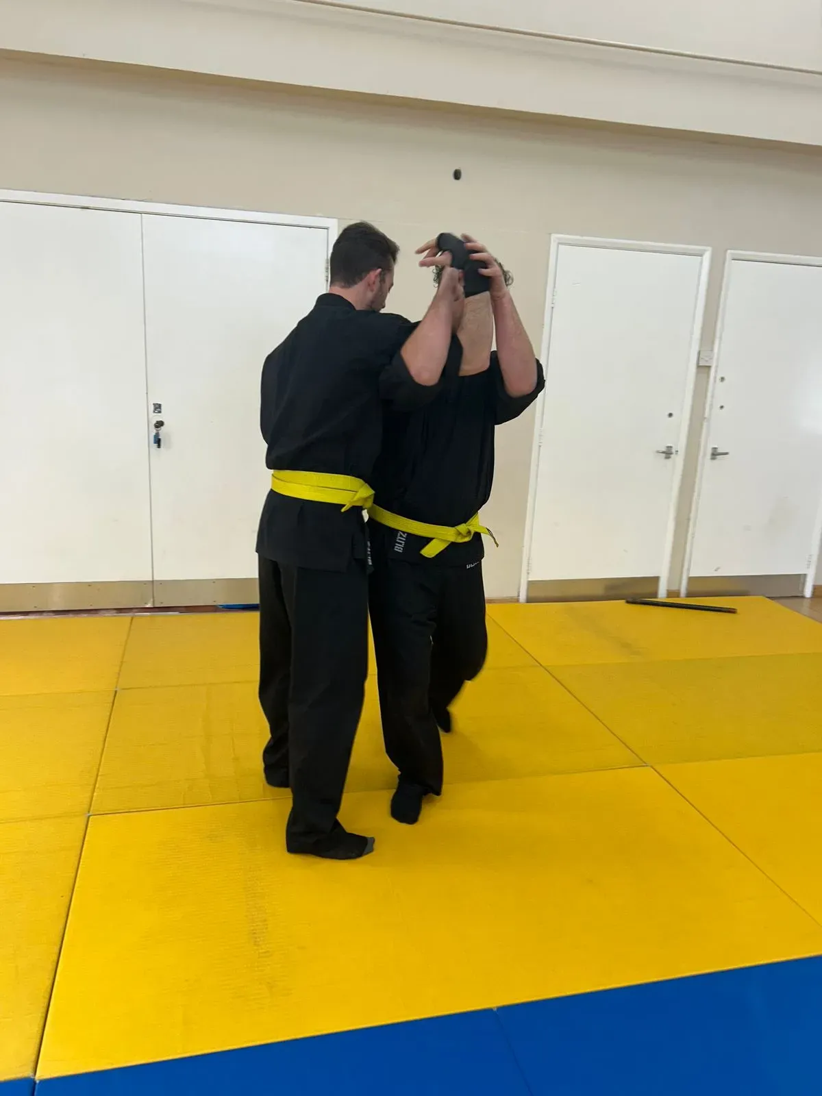 Descriptive text for the image