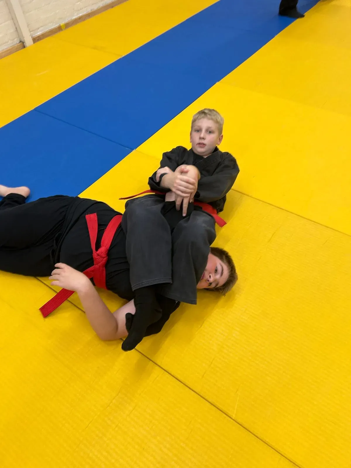 Descriptive text for the image