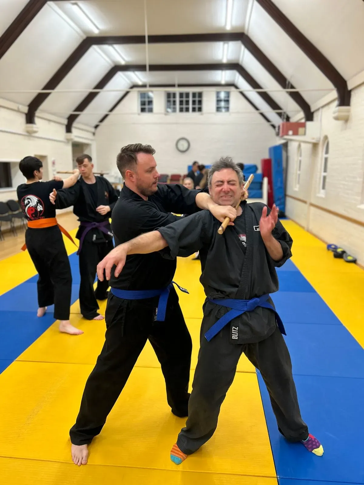 Descriptive text for the image