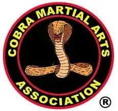 Descriptive text for the image