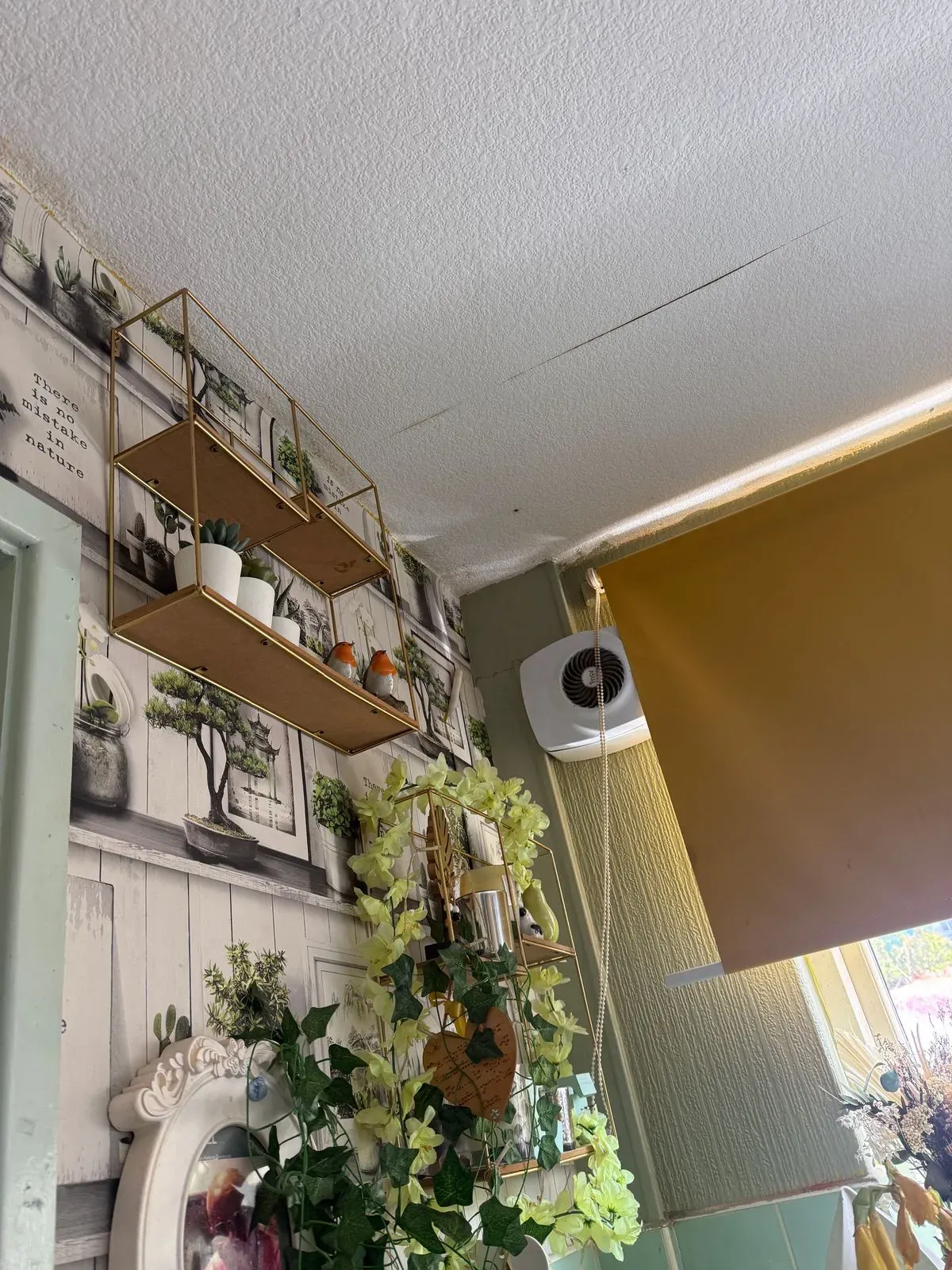Gallery image 15
