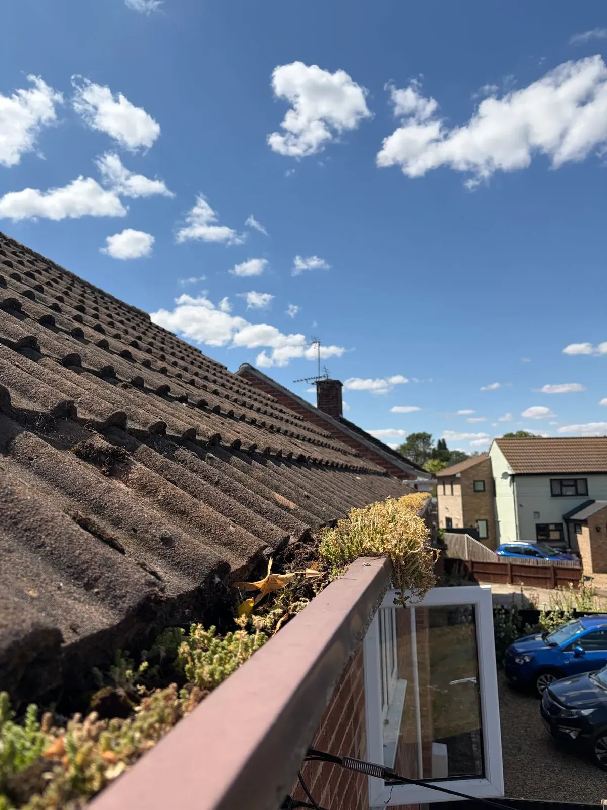 Gutter Cleaning