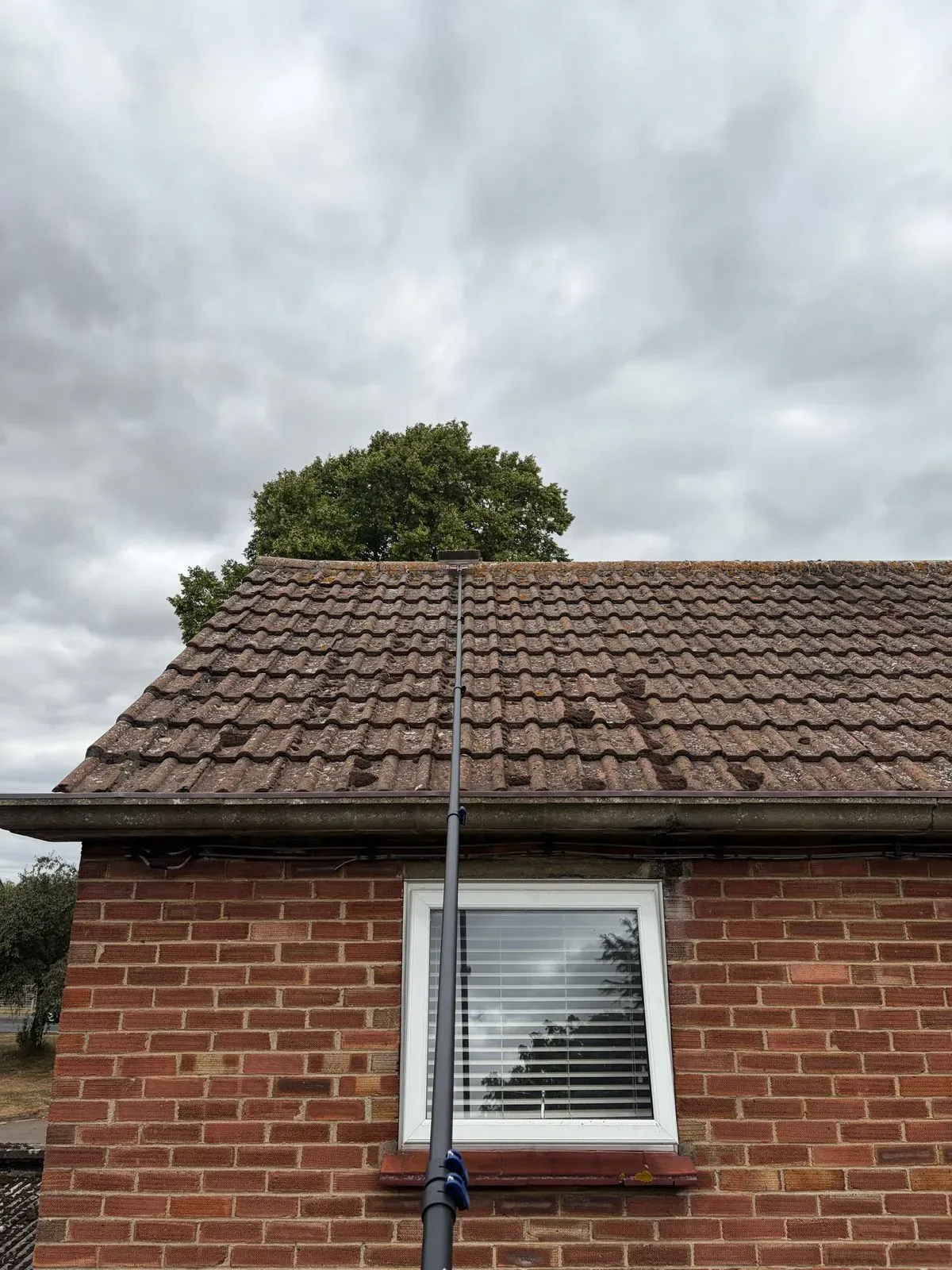 Roof Cleaning