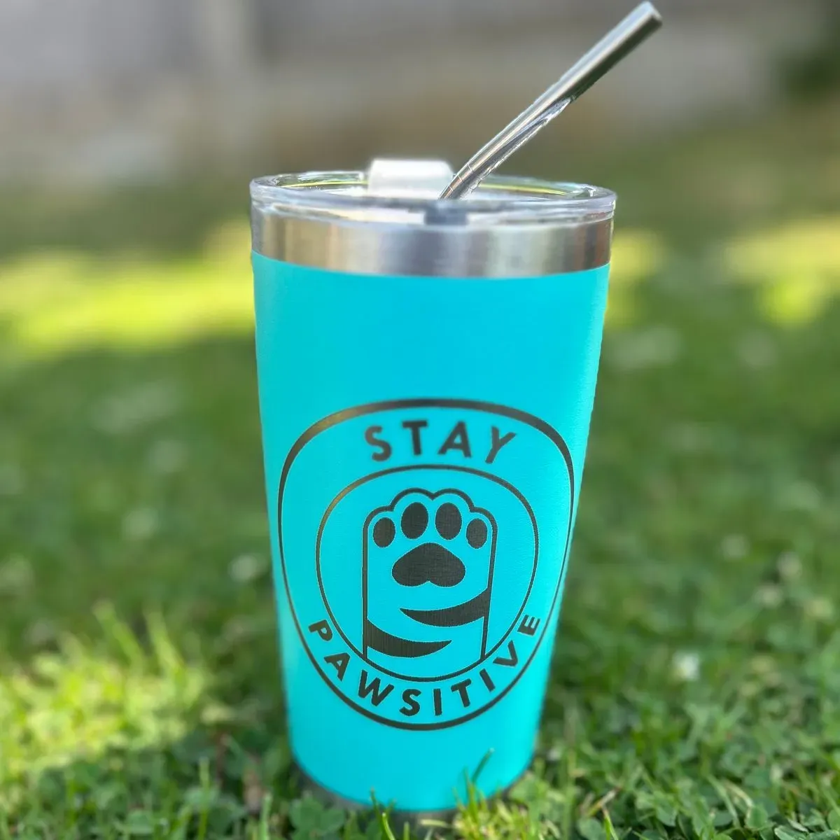 IMG-9156 collection background image