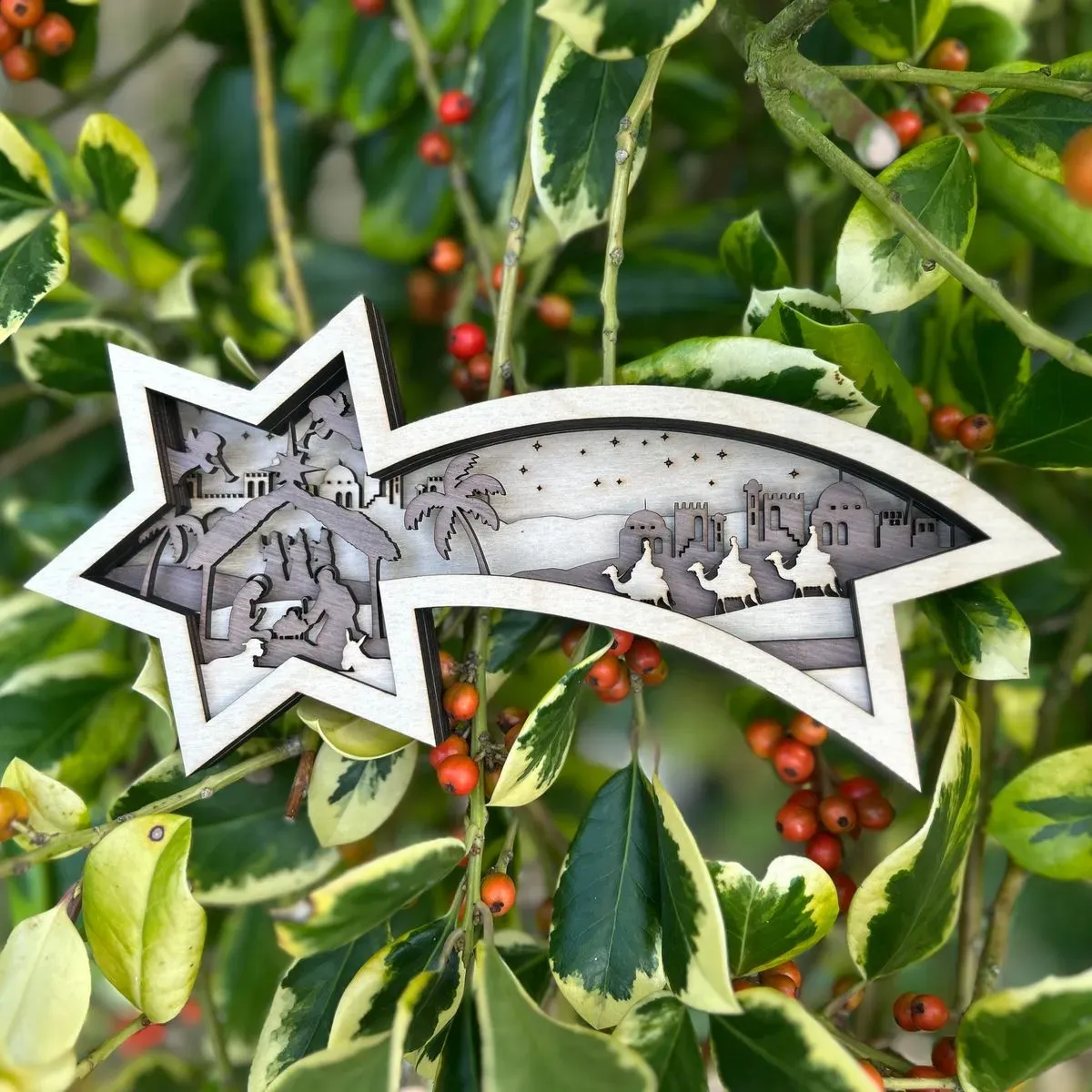 IMG-9801 collection background image