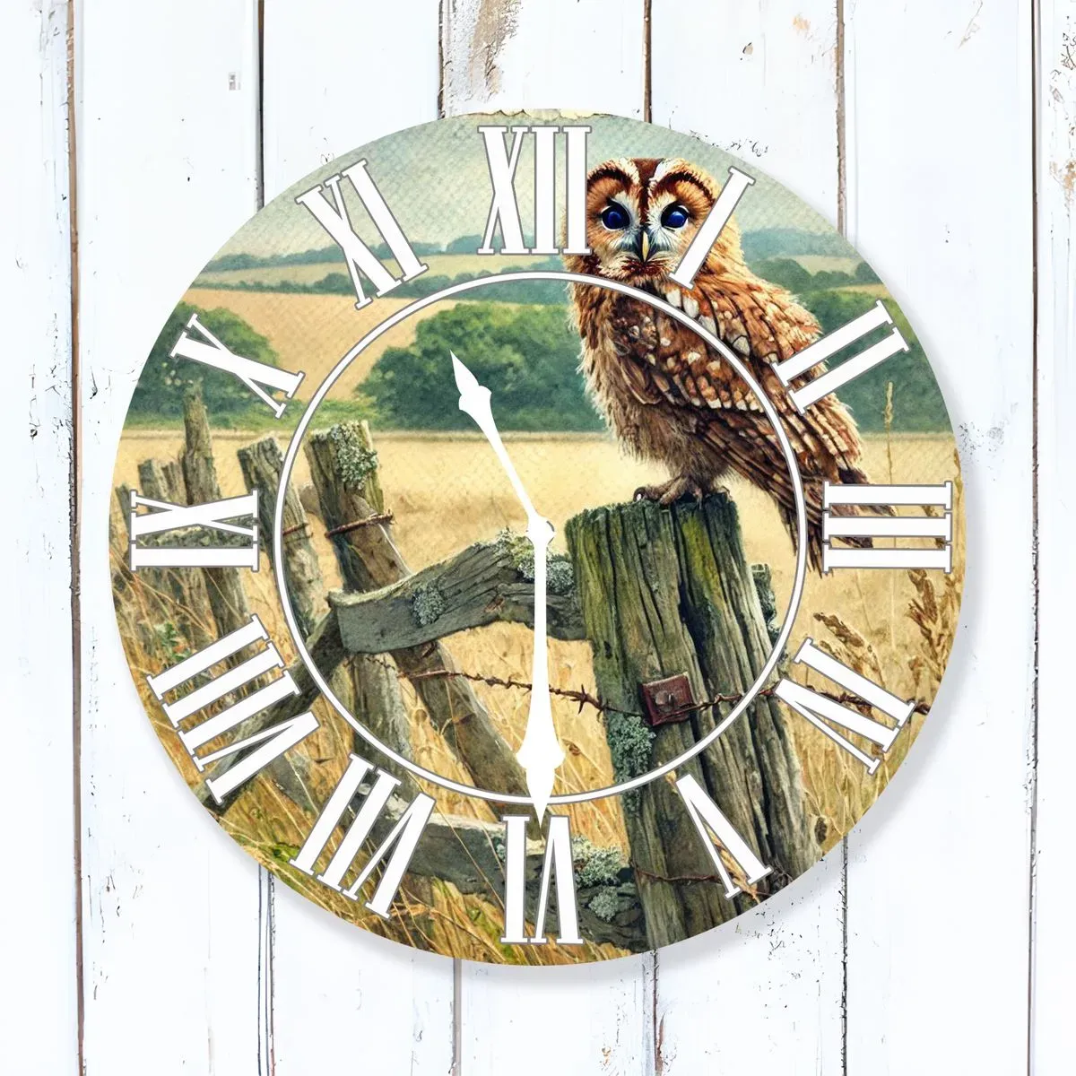 Barn Owl 1 MU thumbnail image