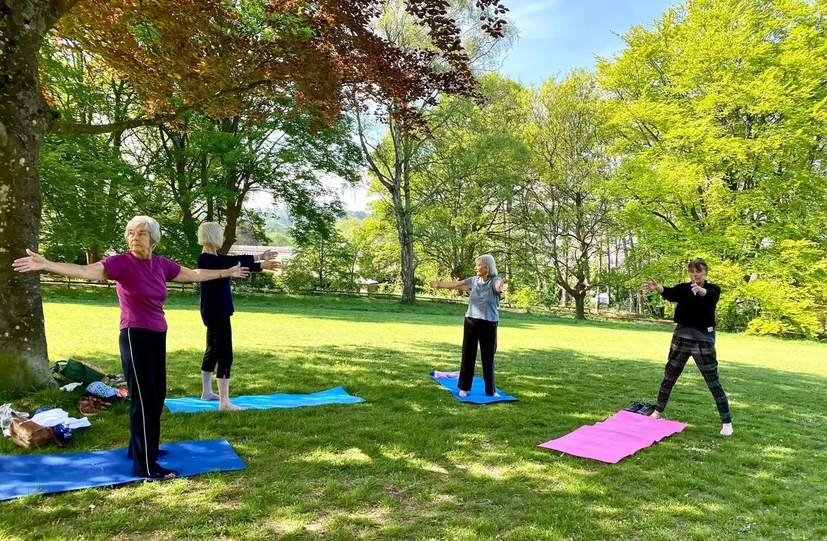 Gentle Yoga image