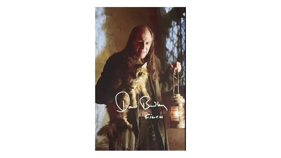 8226486068755-y30ucy86sbdffxf3o85znt-Filch thumbnail image
