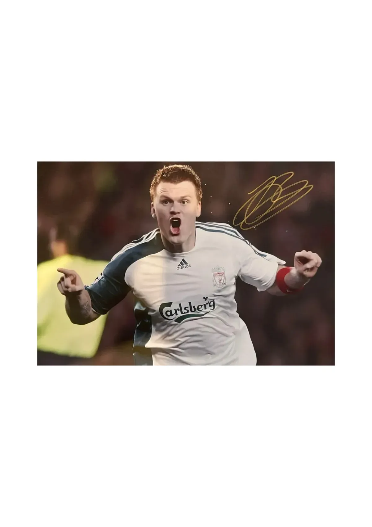 8229151372173-xarx4x0qatex4nz66cheg-RIISE-2 thumbnail image