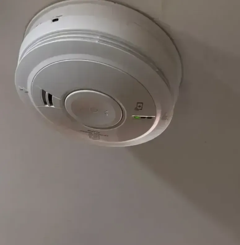 Smoke alarms image