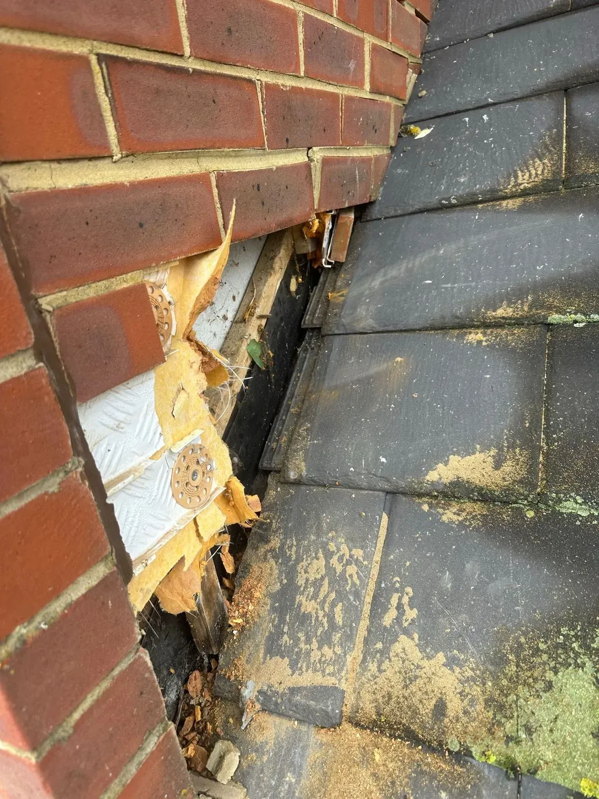 Leak detection and repair image background image