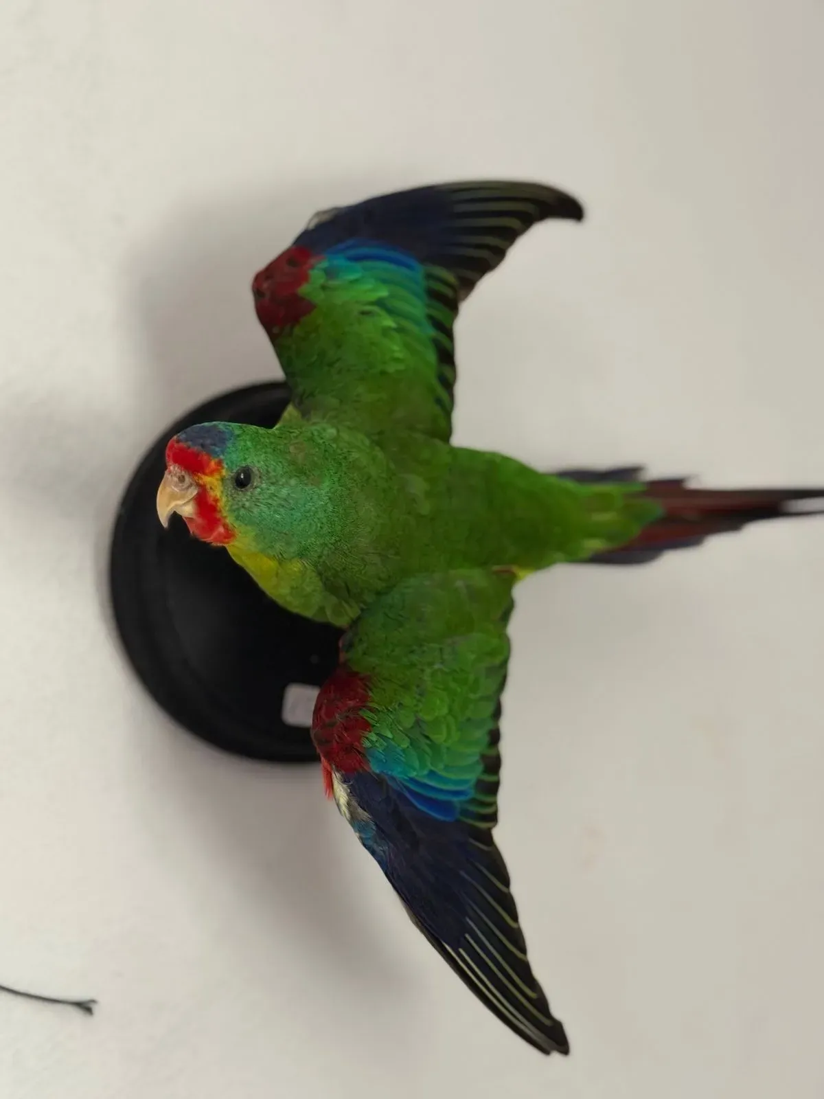 undefined thumbnail image