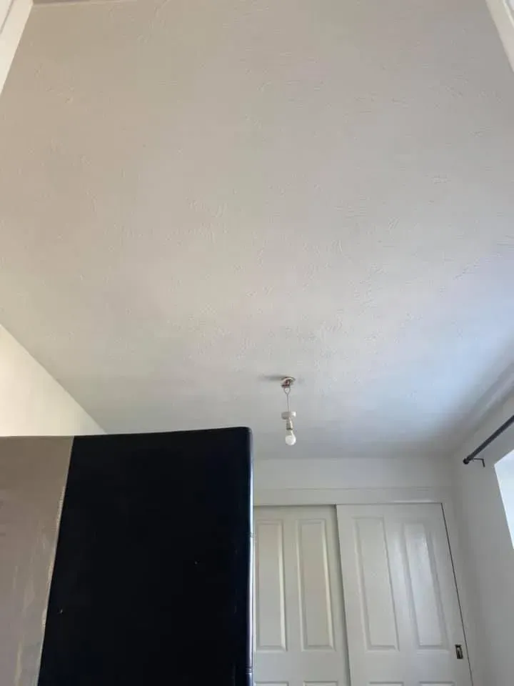 Professional plasterers using tools in Henbury