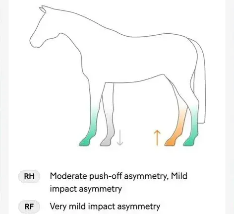 Remote Gait Analysis - Sleip image background image