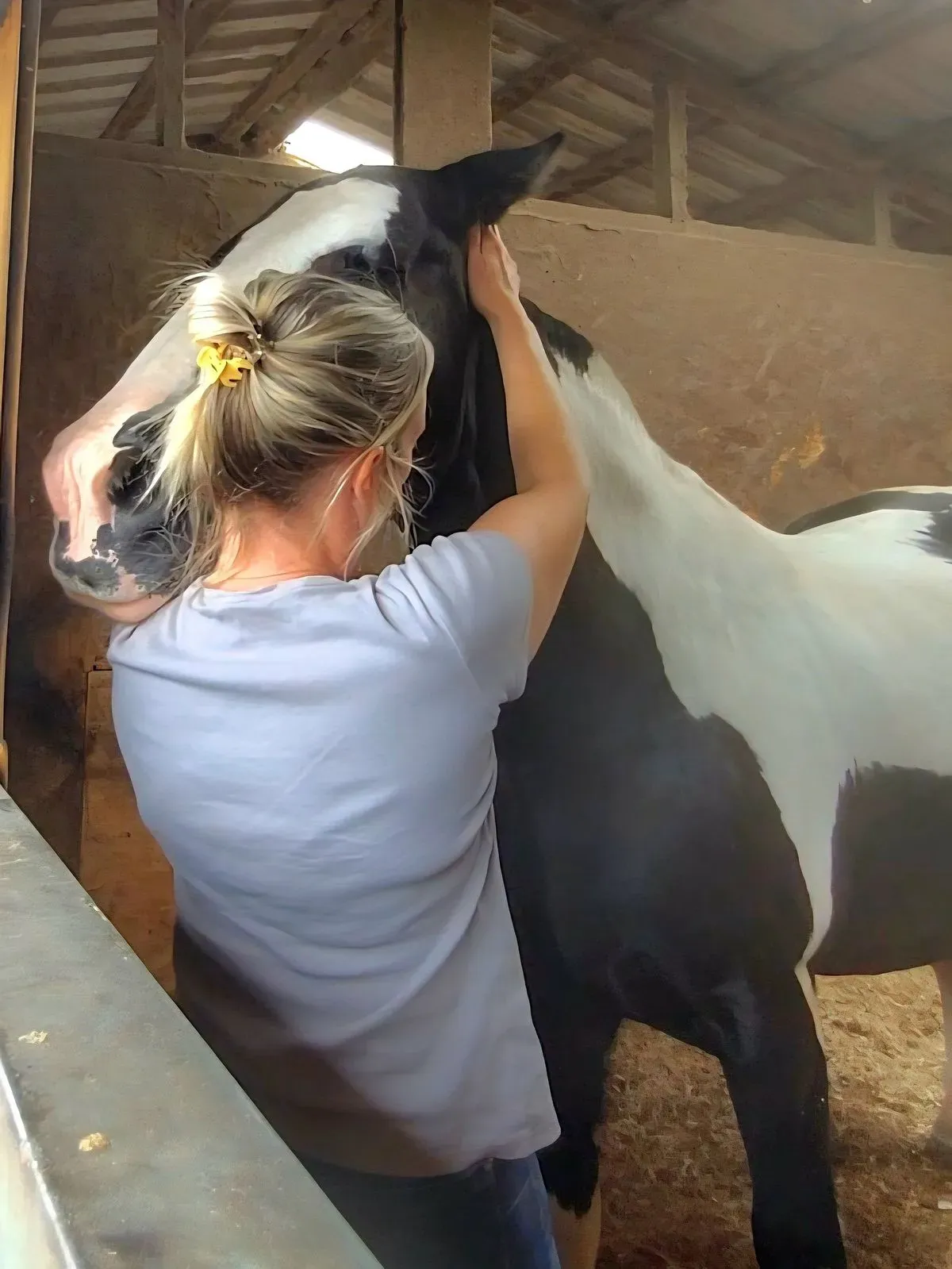 Equine Osteopathy image background image