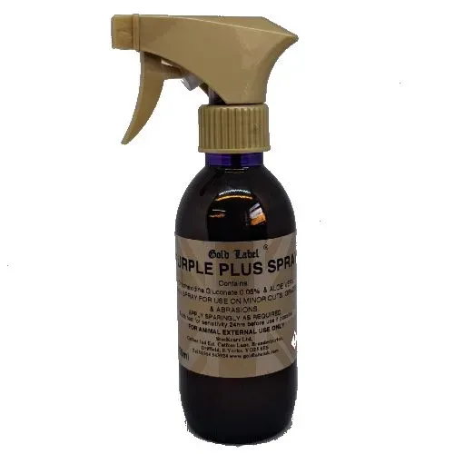 Purple-Plus-1
