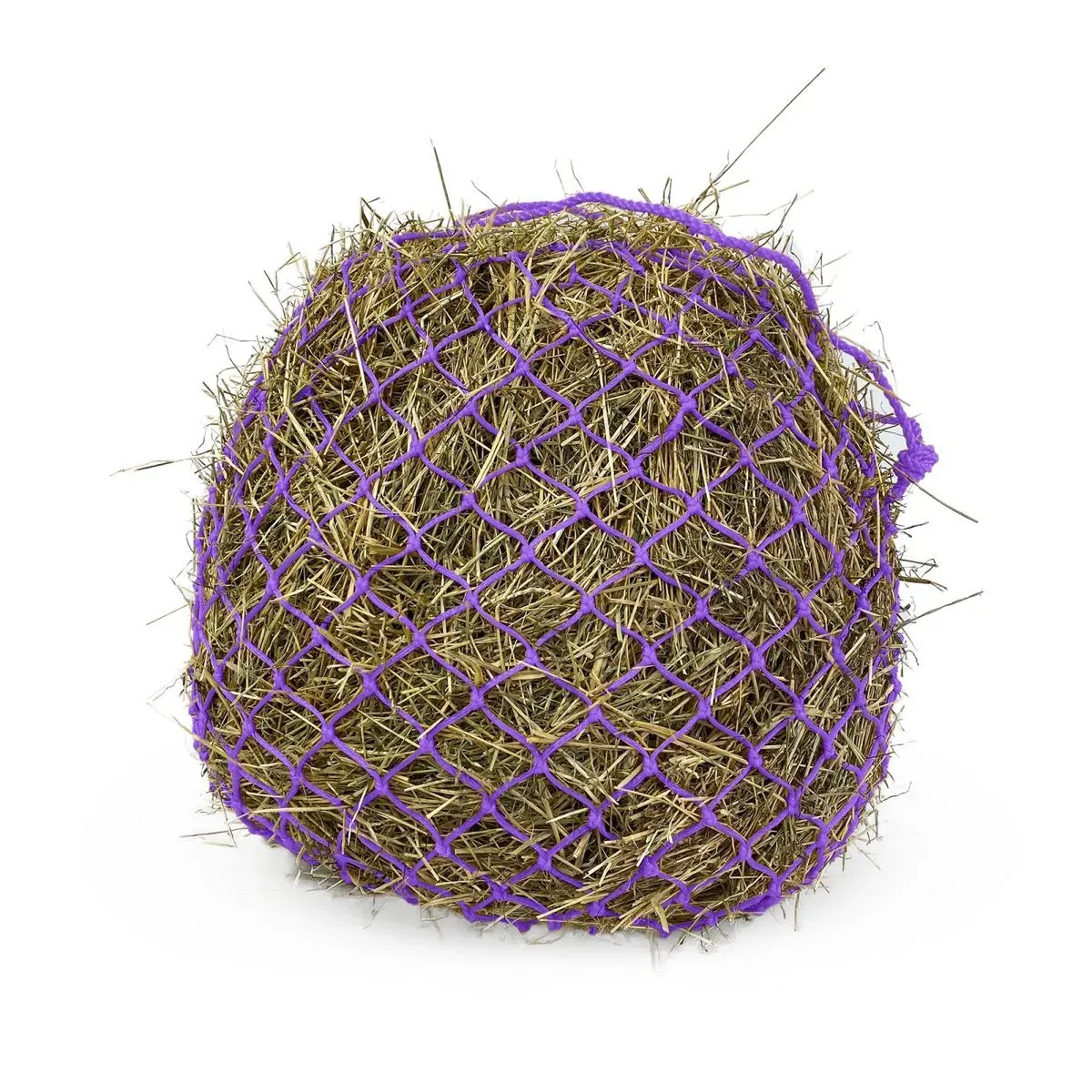 km elite purple haynets