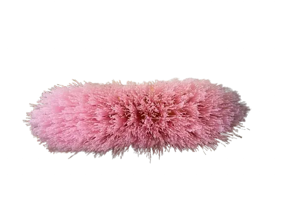 pink dandy brush