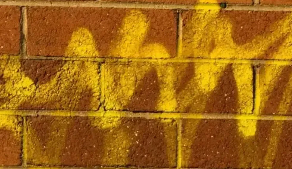 Graffiti Removal image