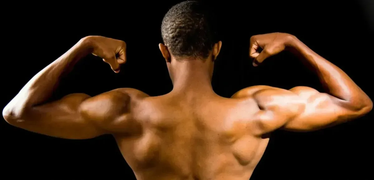 Muscle gain coaching image