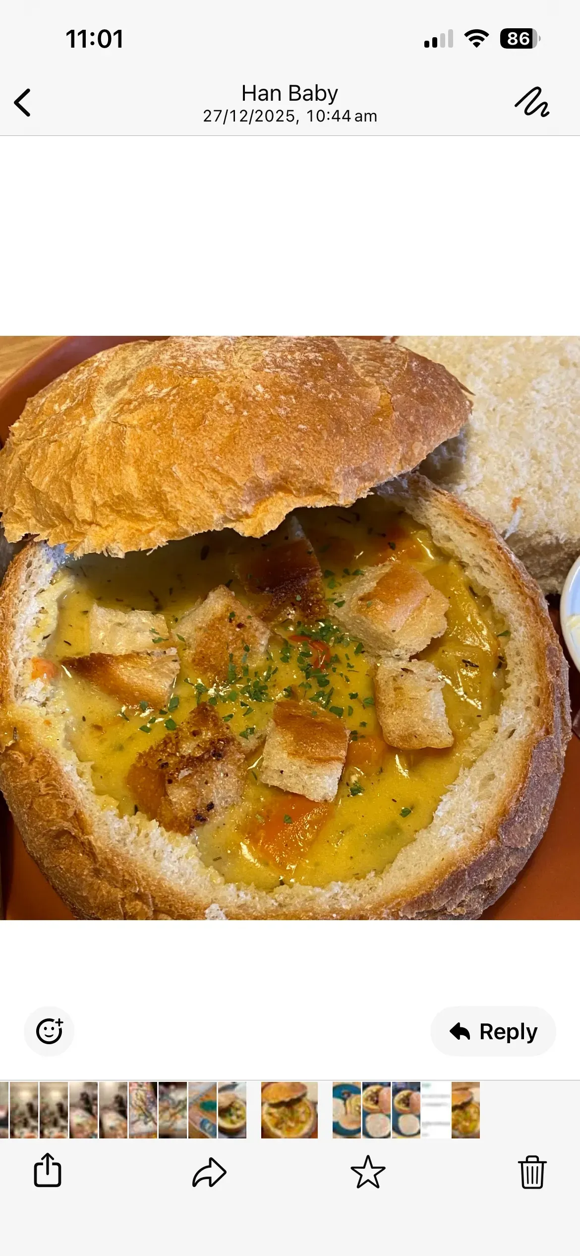 Descriptive text for the image