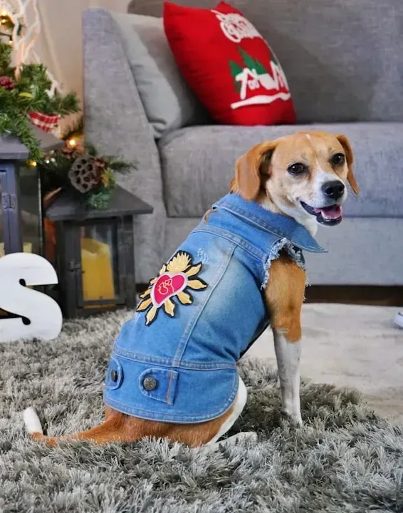 8216676708340-4zrumhyfi0tdgwm8ldisrt-Pet-Lover-Gifts-cropped collection background image