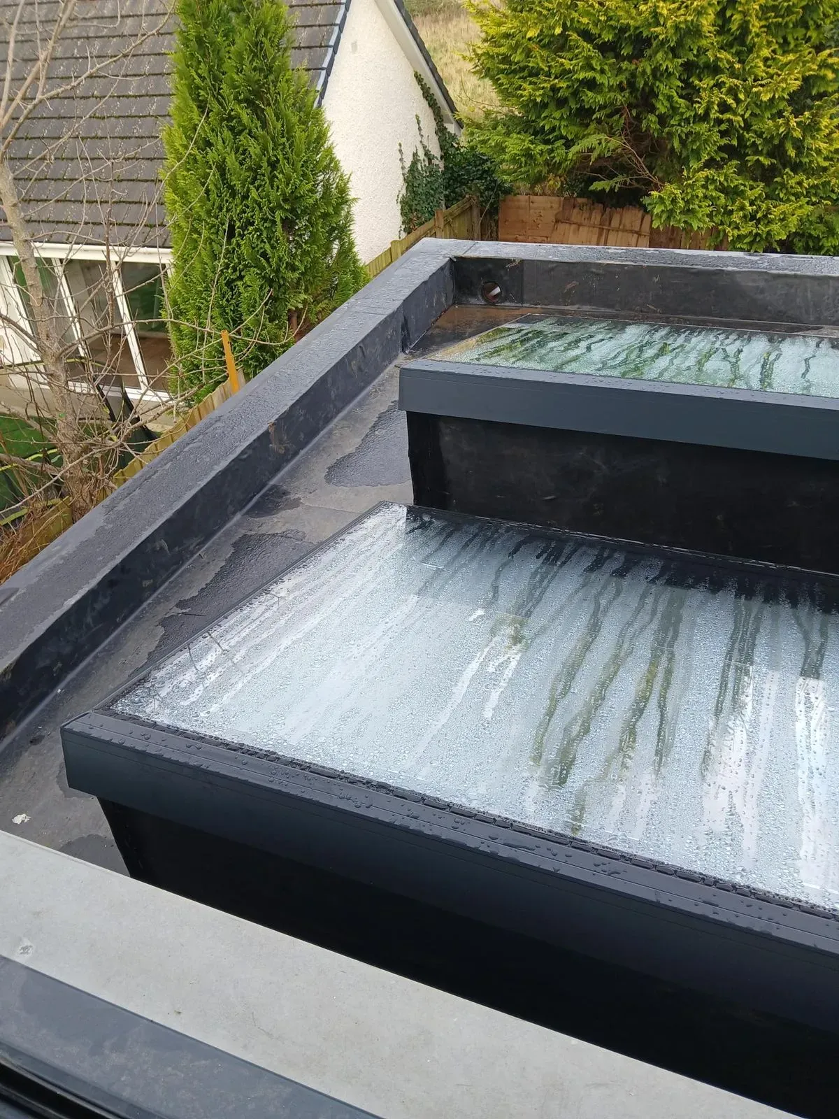 Velux windows