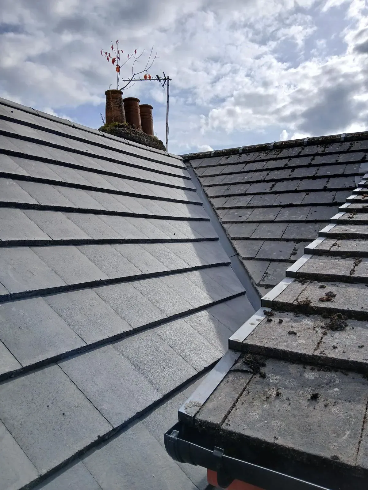 Tiled roof