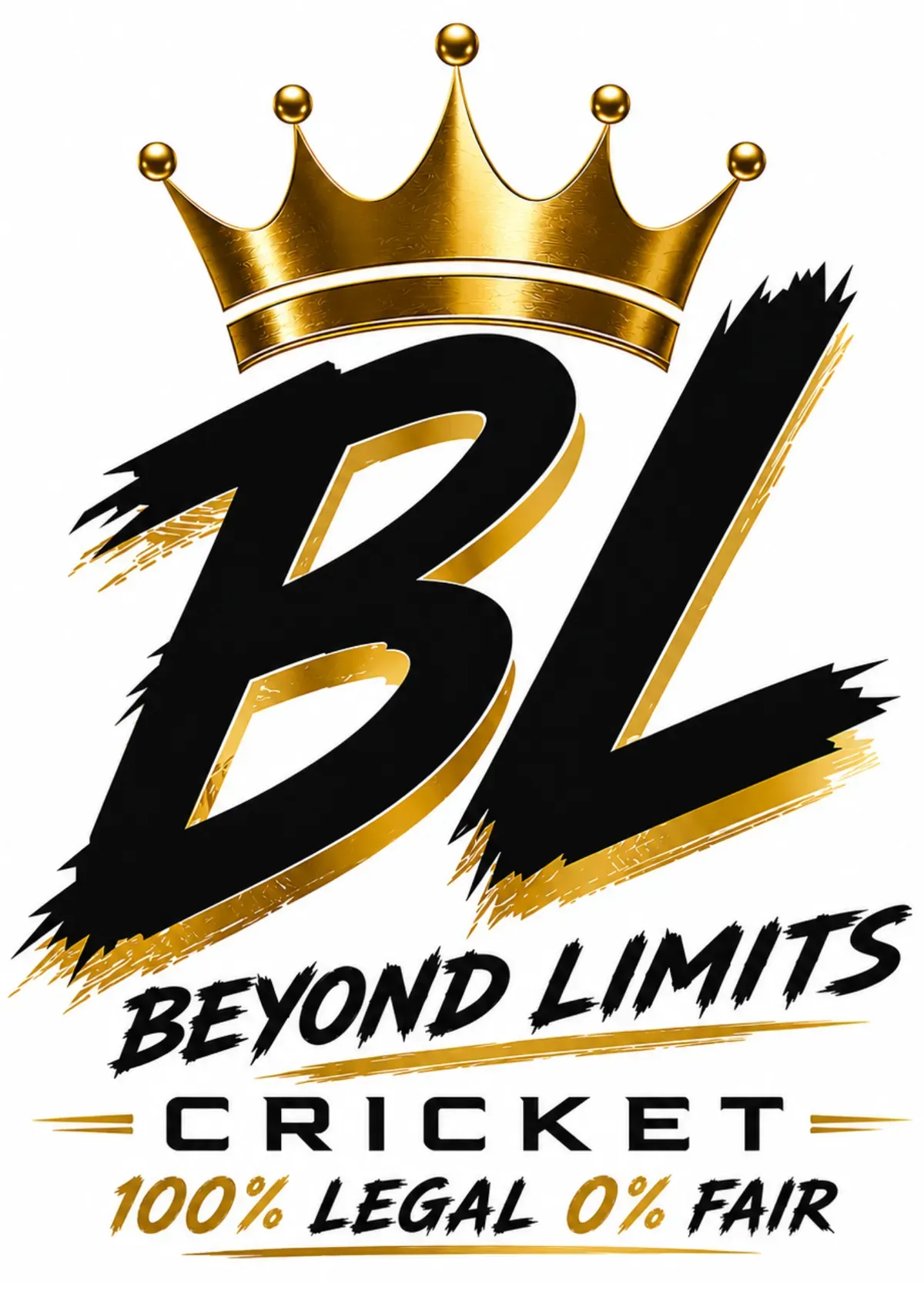 BL Beyond Limits Cricket  logo