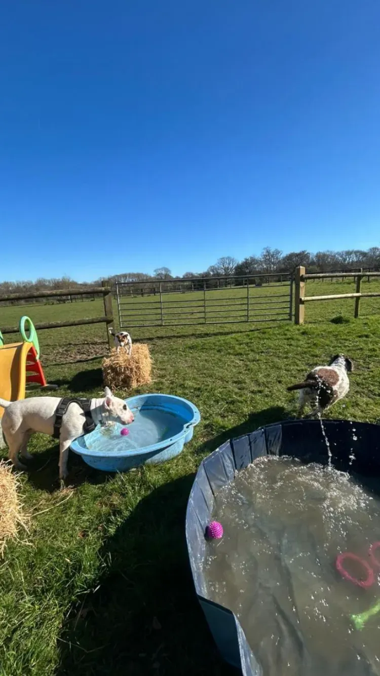 Descriptive text for the image