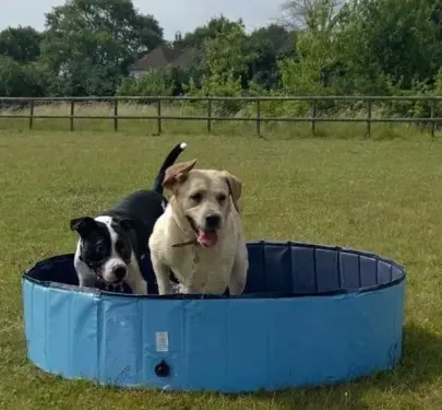 Descriptive text for the image