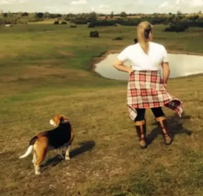 Solo dog walks image background image