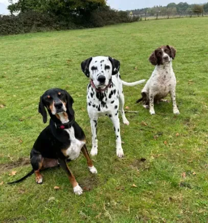 Descriptive text for the image