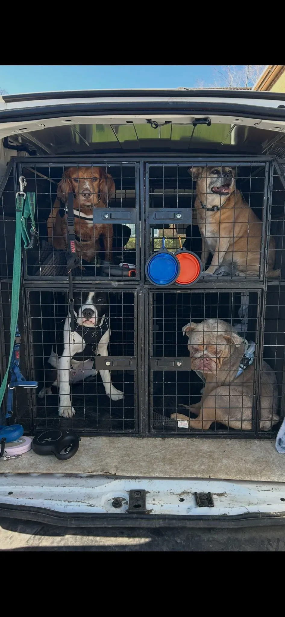 Descriptive text for the image