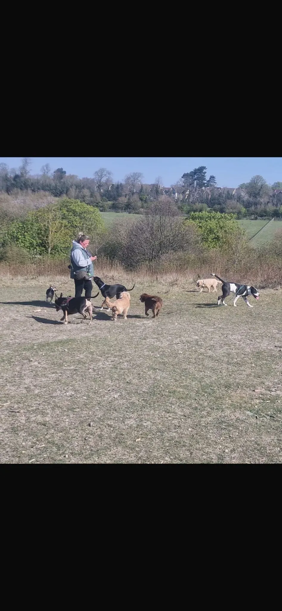 Descriptive text for the image