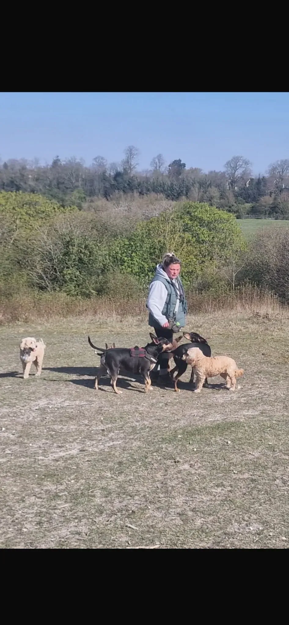 Descriptive text for the image