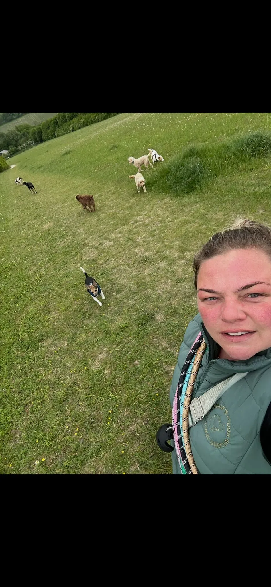 Descriptive text for the image