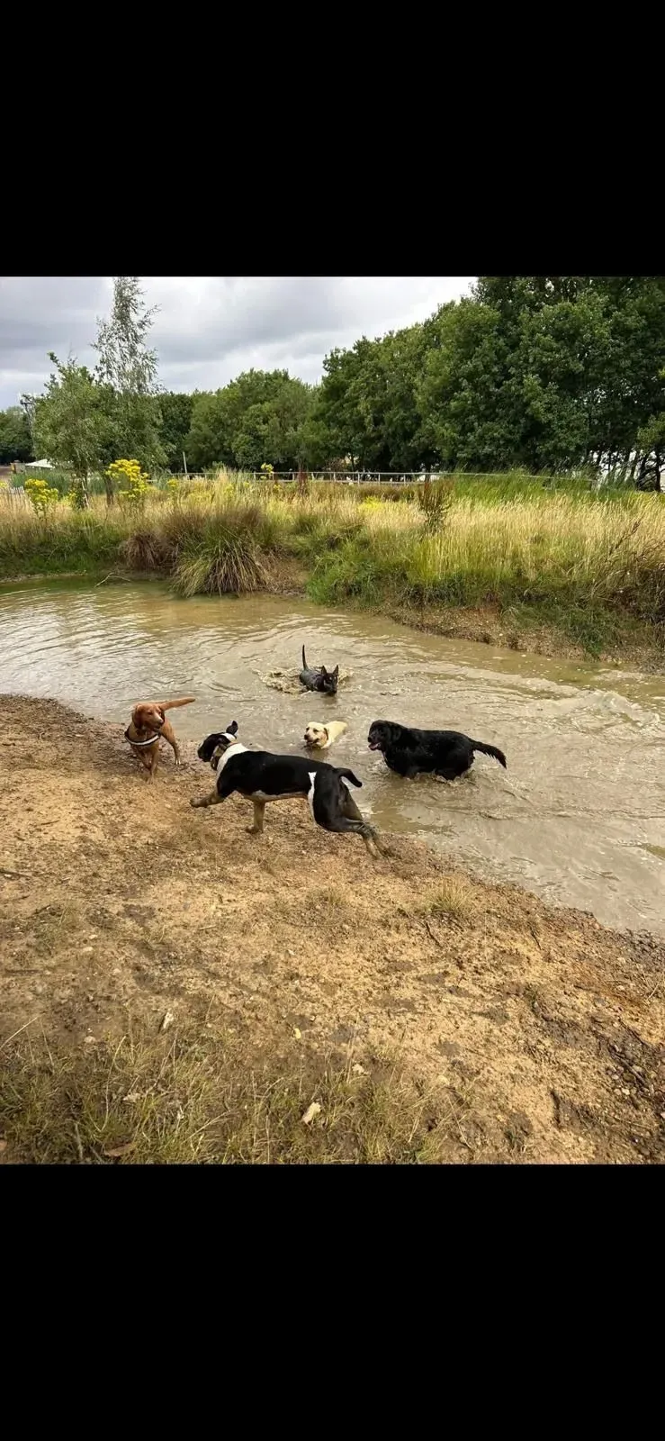 Descriptive text for the image