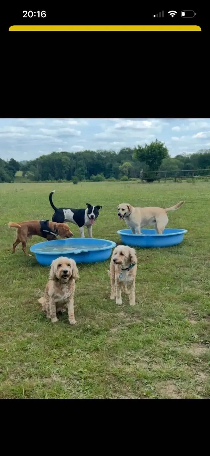 Descriptive text for the image