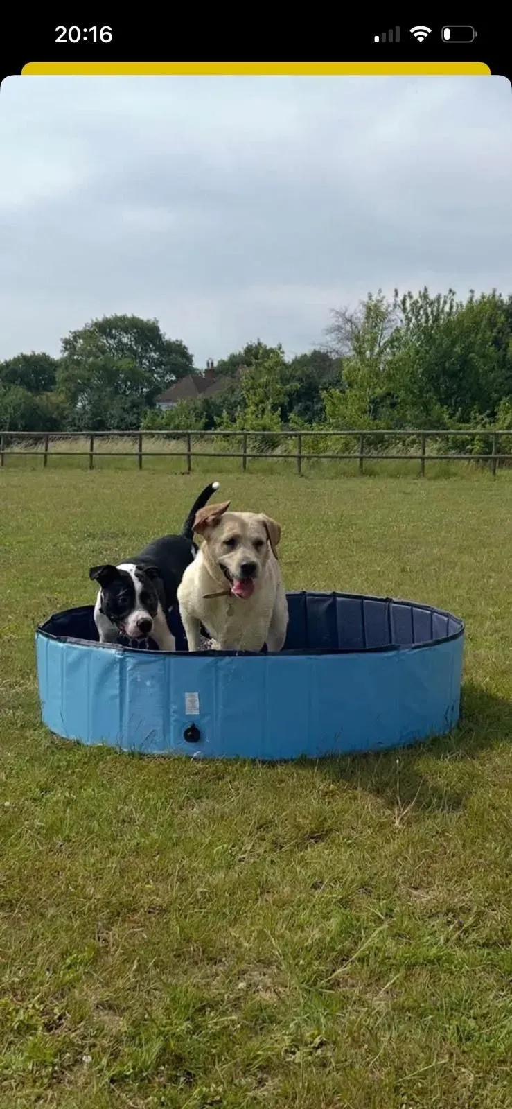 Descriptive text for the image