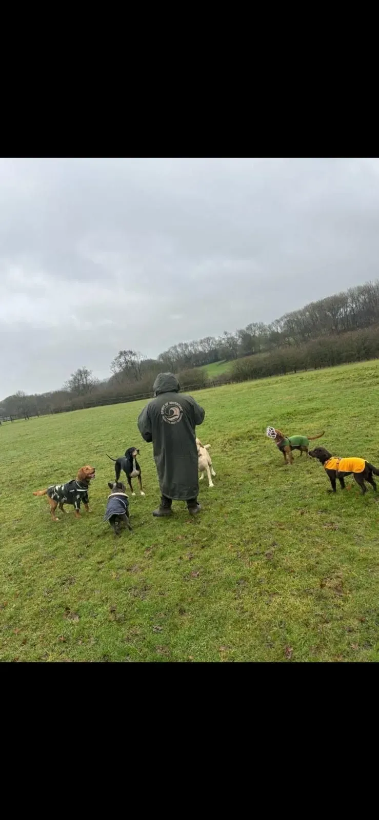 Descriptive text for the image