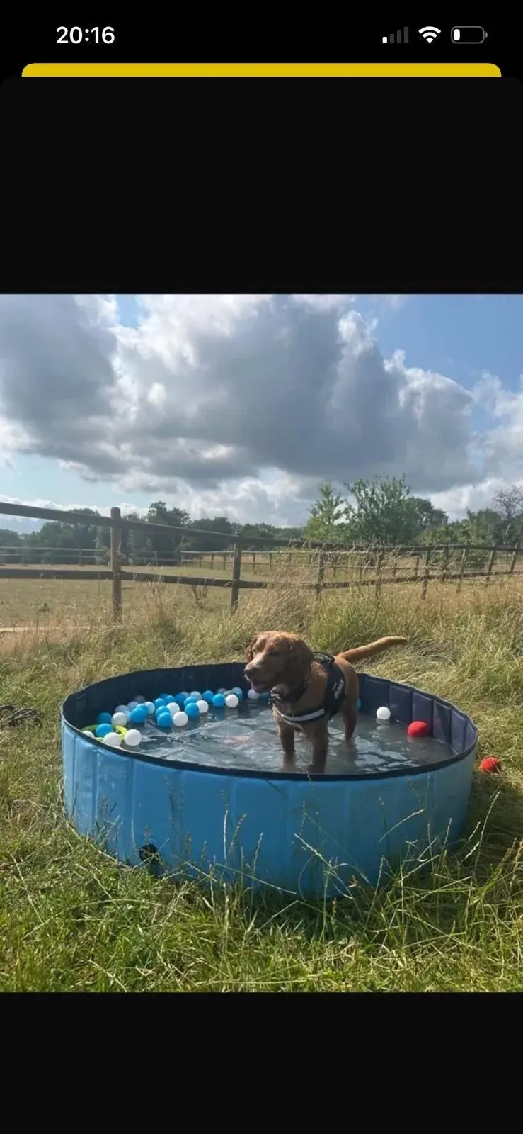 Descriptive text for the image