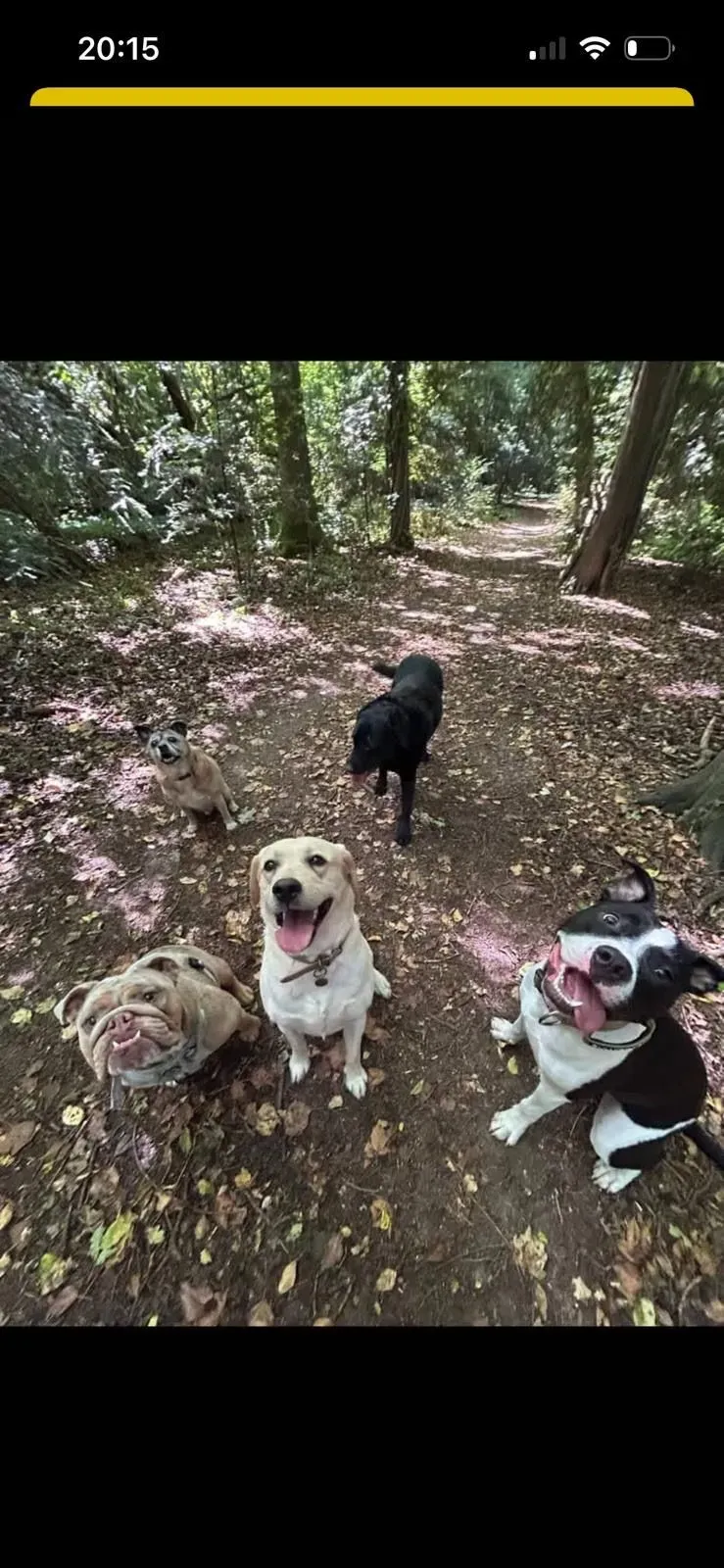 Descriptive text for the image