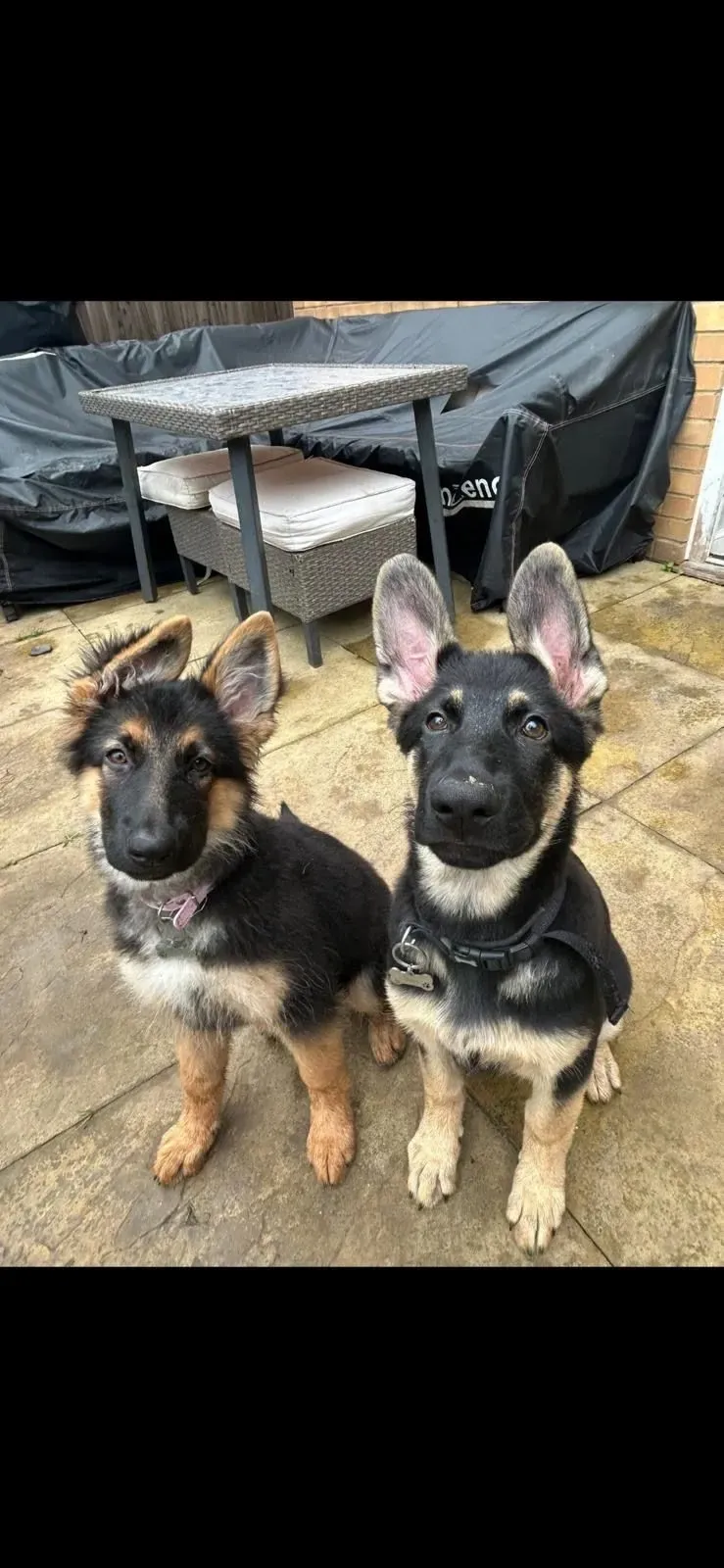 Descriptive text for the image