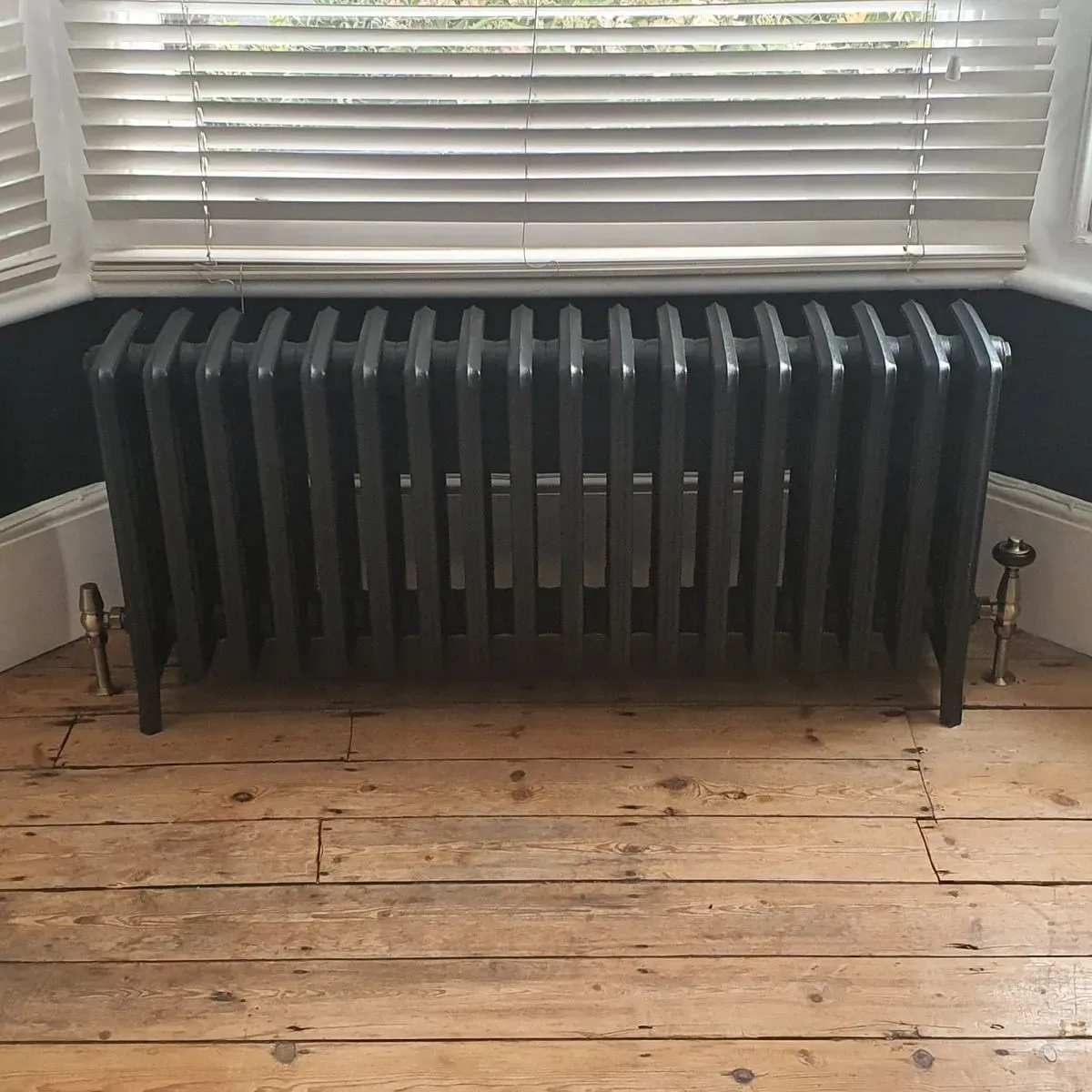 Descriptive text for the image