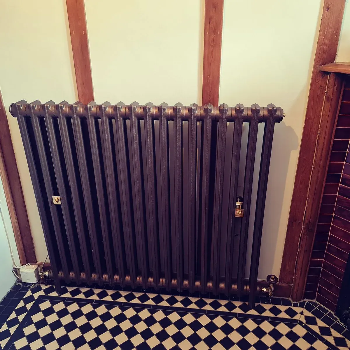 Descriptive text for the image