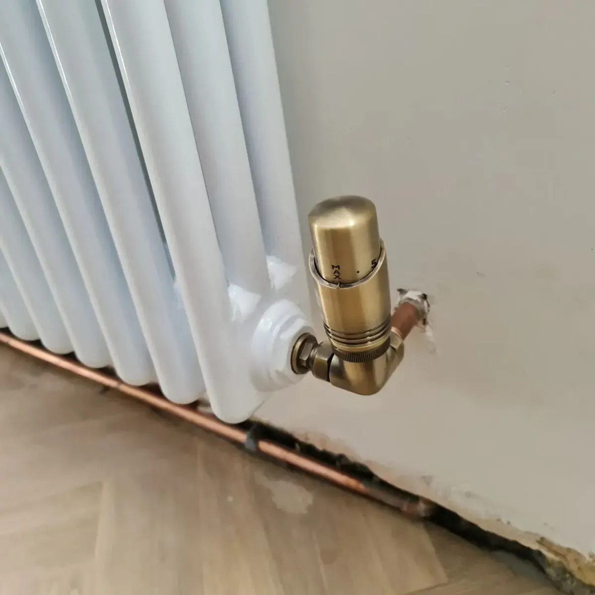 Descriptive text for the image