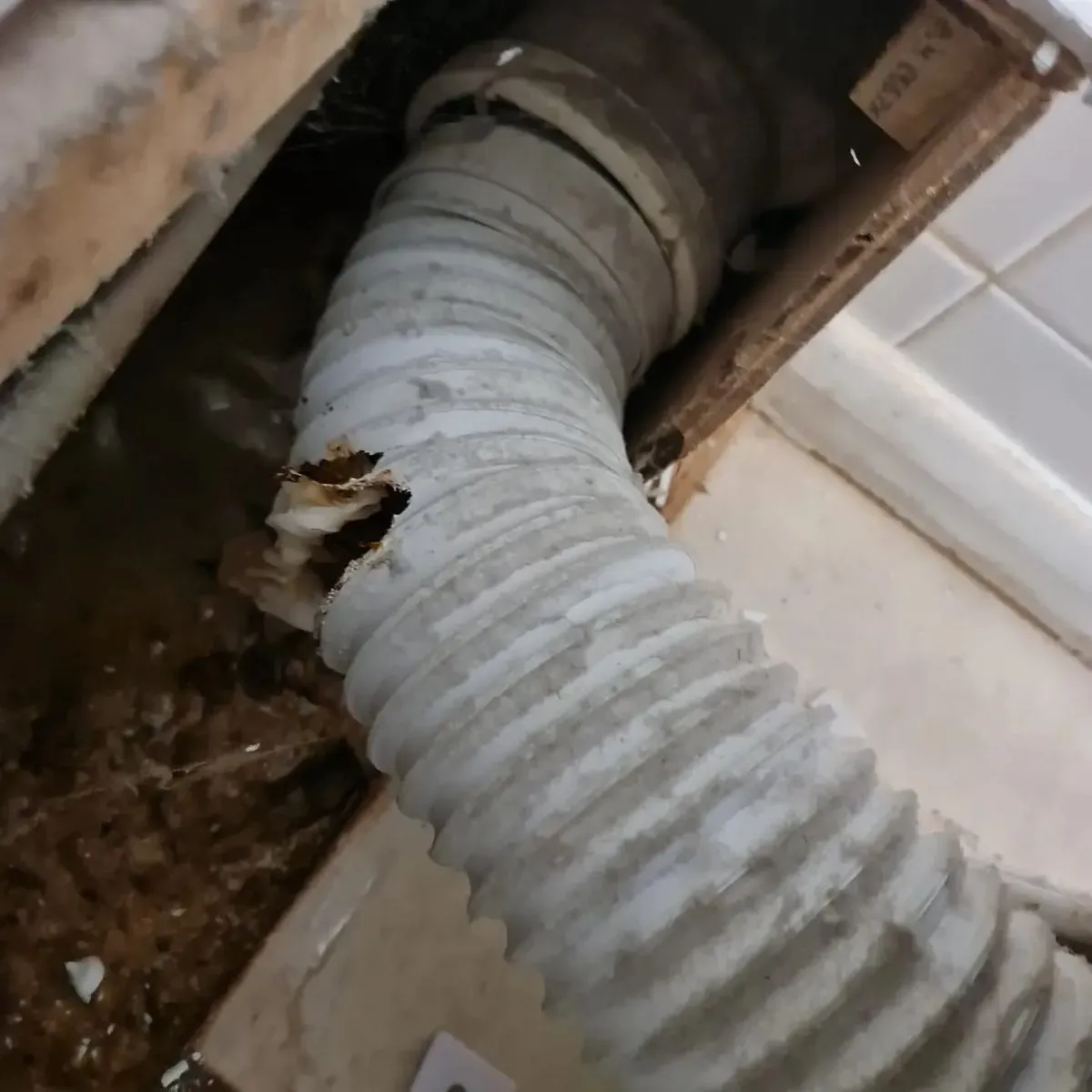 Descriptive text for the image