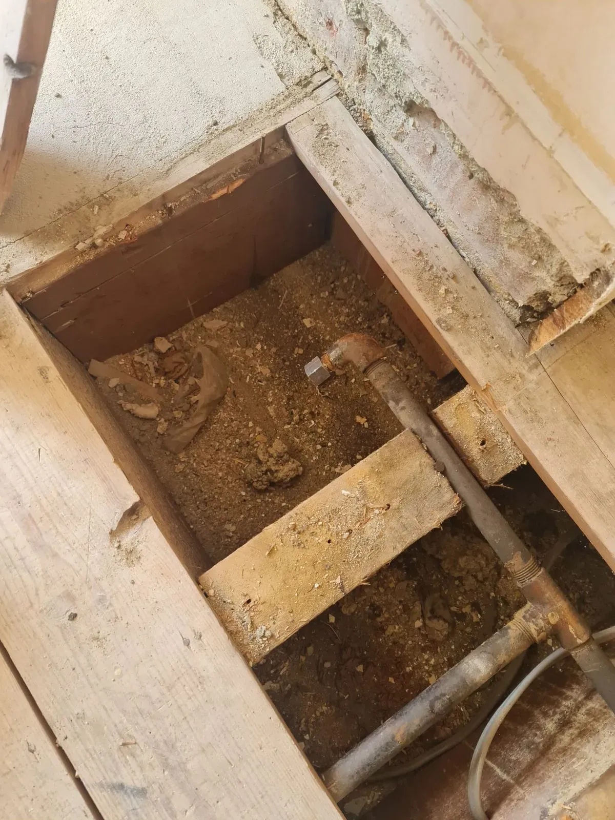 Descriptive text for the image